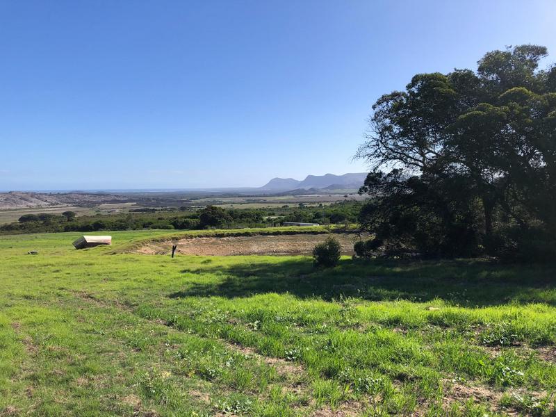 0 Bedroom Property for Sale in Baardskeerdersbos Western Cape